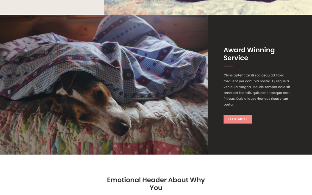 screencapture-furrycritter-barketing-co-2019-11-04-15_46_51